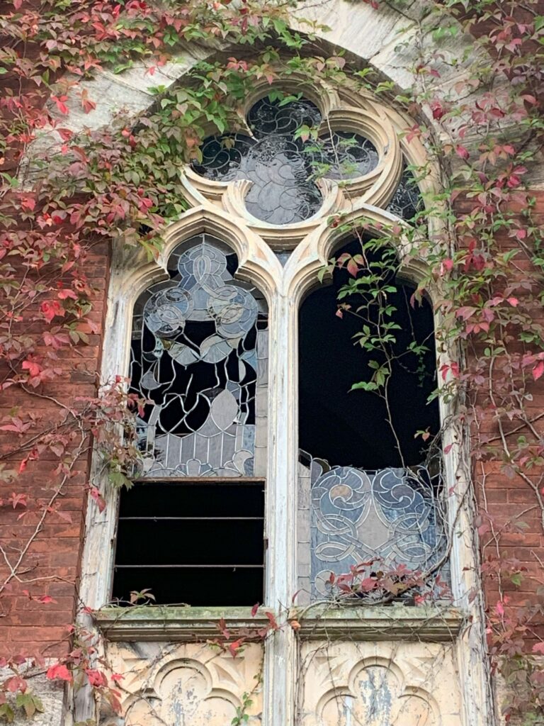 Broken stained-glass windows with vines growing around and in the building.